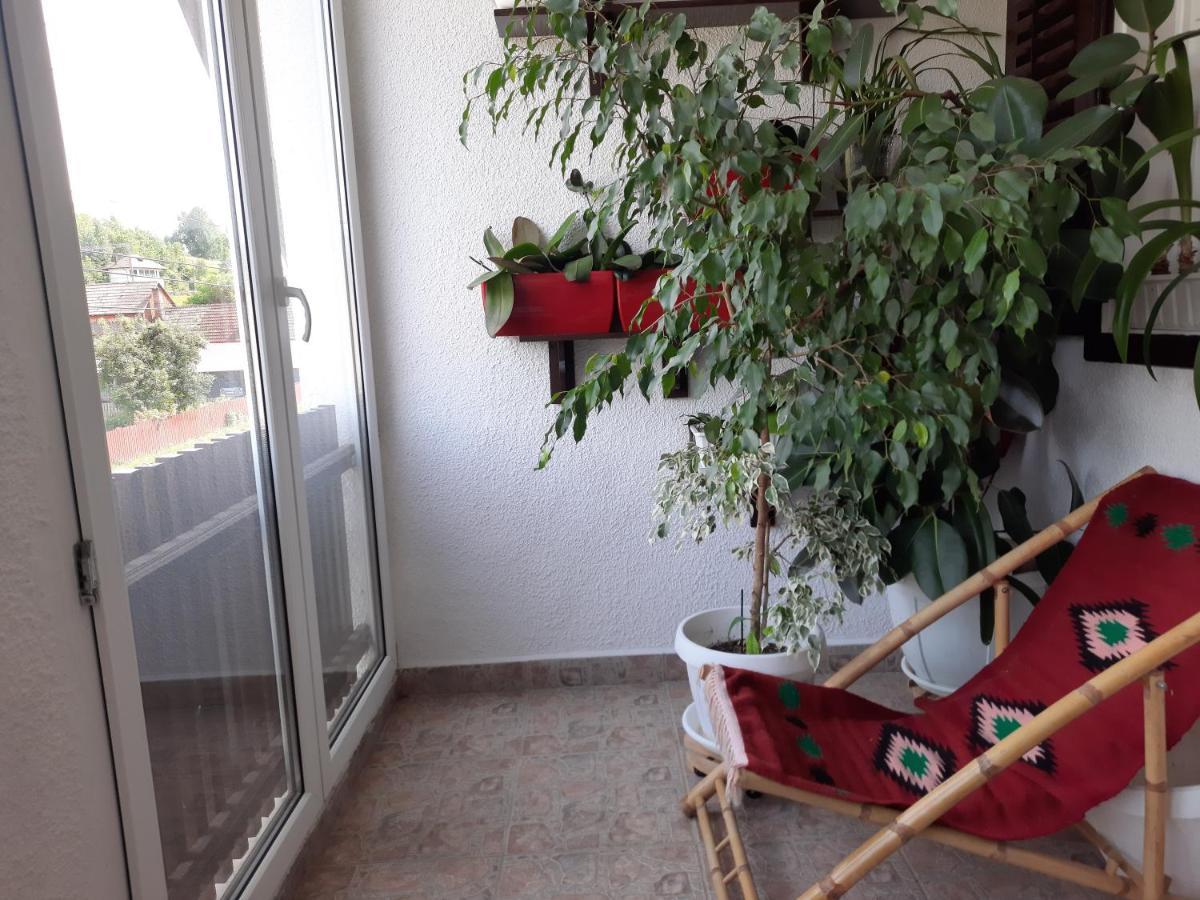 Antal Apartmans Lunca De Sus Kulcsoshaz Gyimesfelsolok Extérieur photo