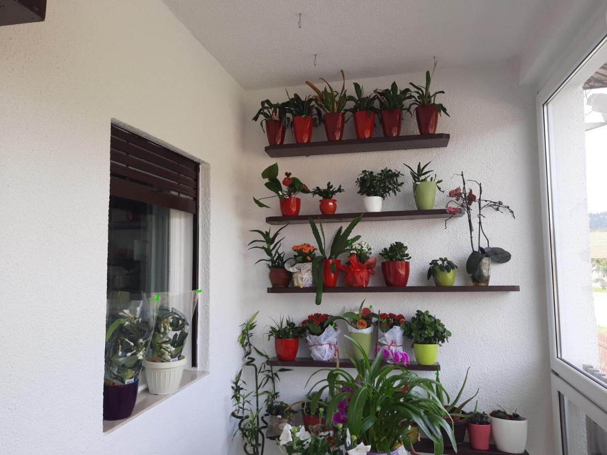 Antal Apartmans Lunca De Sus Kulcsoshaz Gyimesfelsolok Extérieur photo