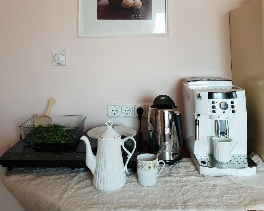 Antal Apartmans Lunca De Sus Kulcsoshaz Gyimesfelsolok Extérieur photo
